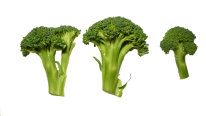 brokuły (1)